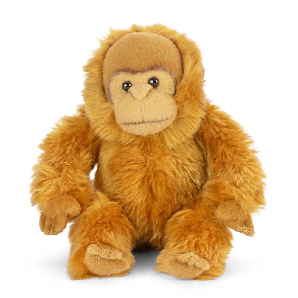 AN795 Orangutan