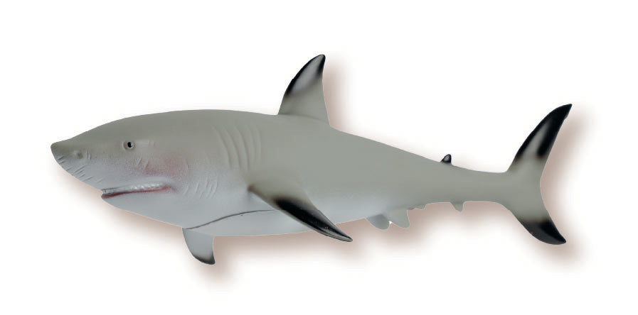 Soft Ark Replicas - Blacktip Shark