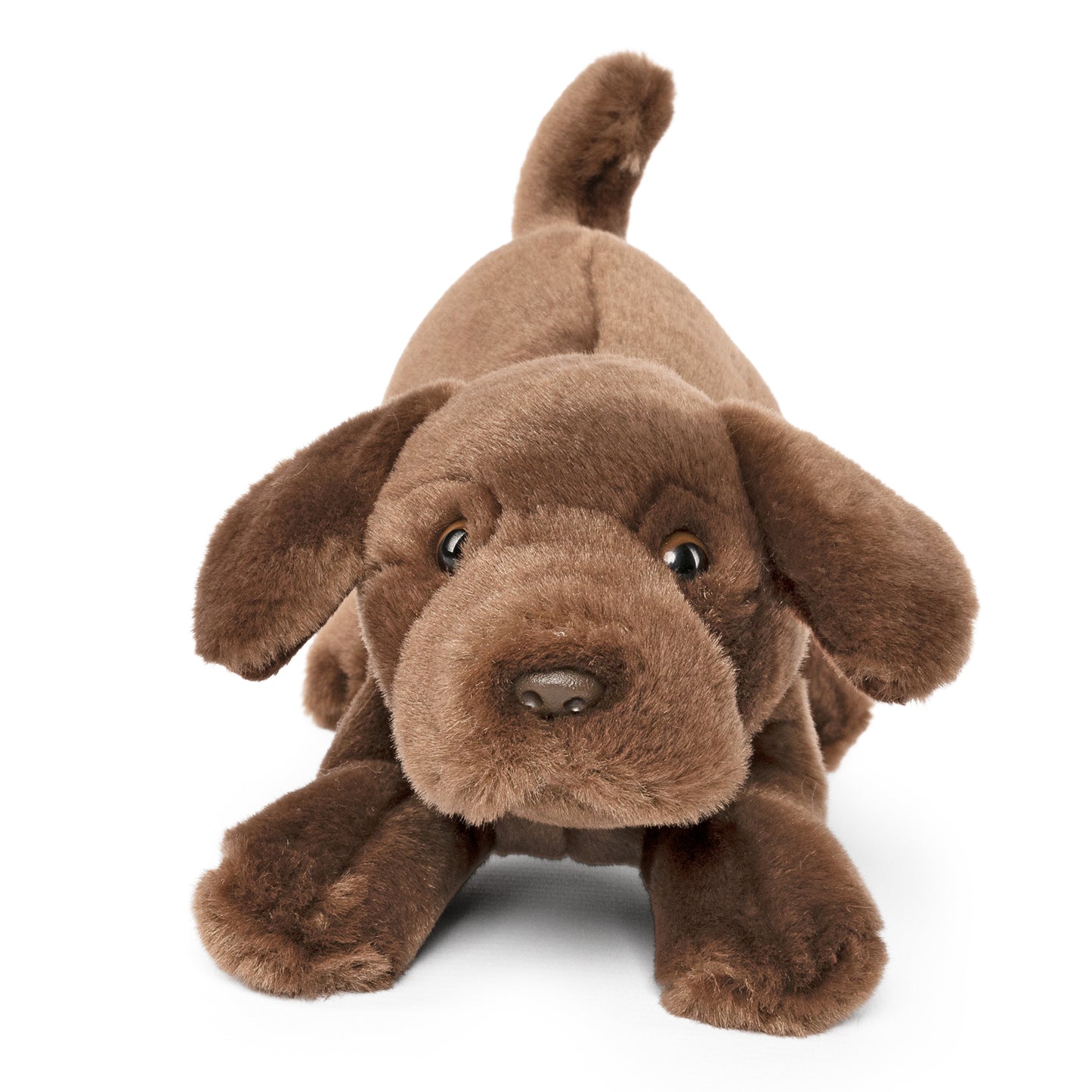 AN704 Chocolate Labrador Playful Pup 27cm
