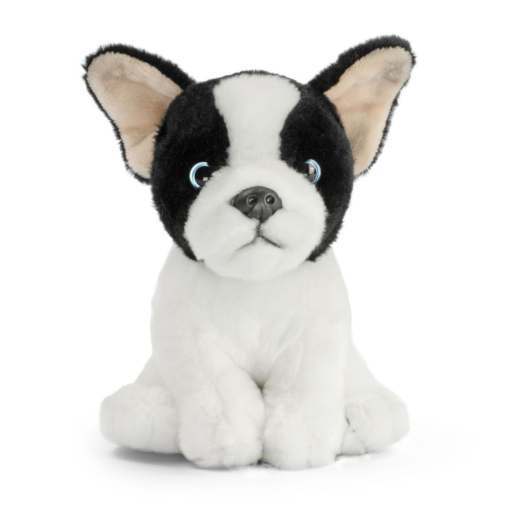 AN776 French Bulldog Puppy Black and White