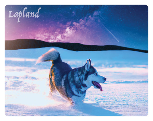 Husky and a shooting star 3D magnet FIN LAP