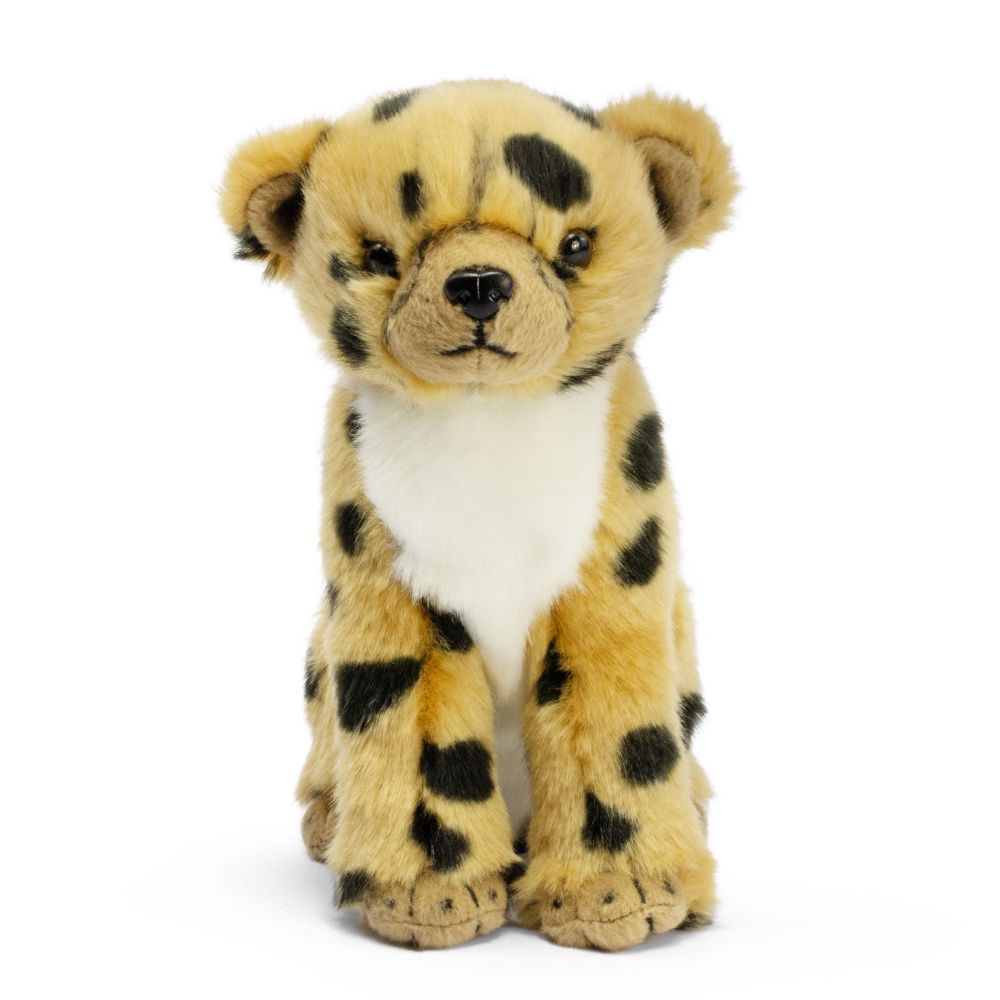 AN785 Sitting Cheetah Cub