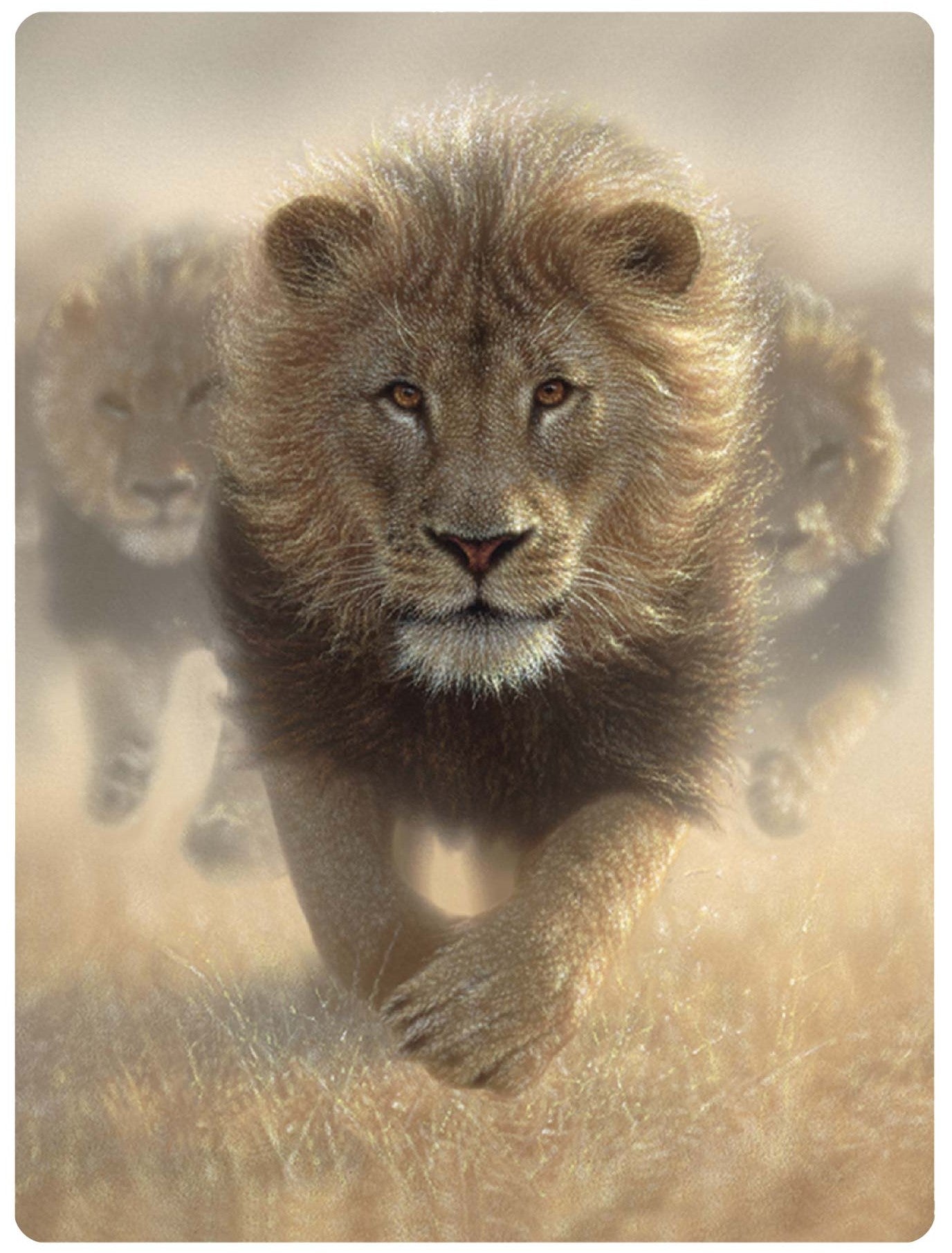 3D LiveLife Postcards - Eat My Dust