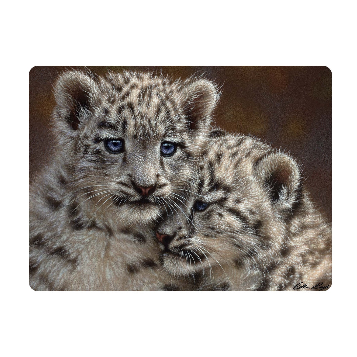 3D LiveLife Postcards - Playmates