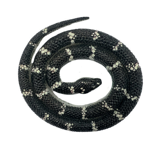 Snakes of the World Small - Reticulated Python