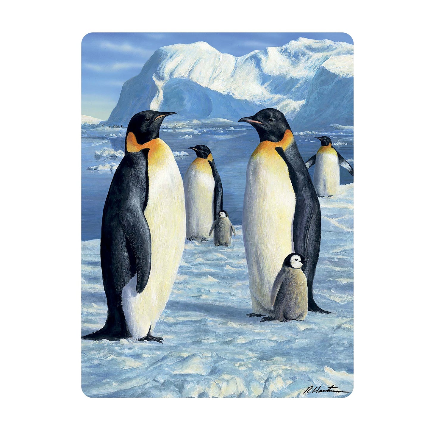3D LiveLife Postcards - Antarctic Majesty