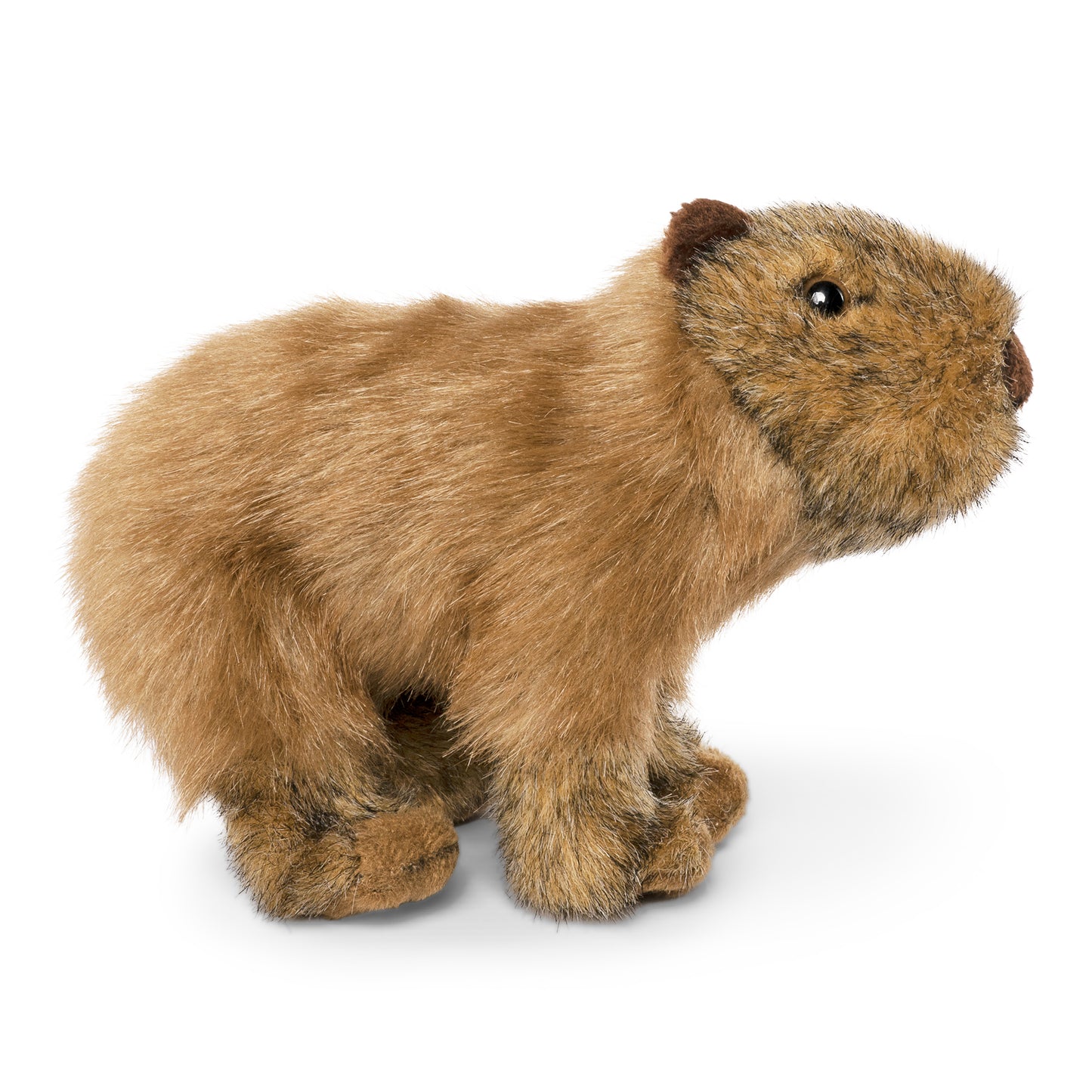 AN733 Capybara 22cm