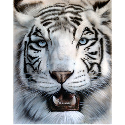 3D LiveLife Postcards - White Tiger Face