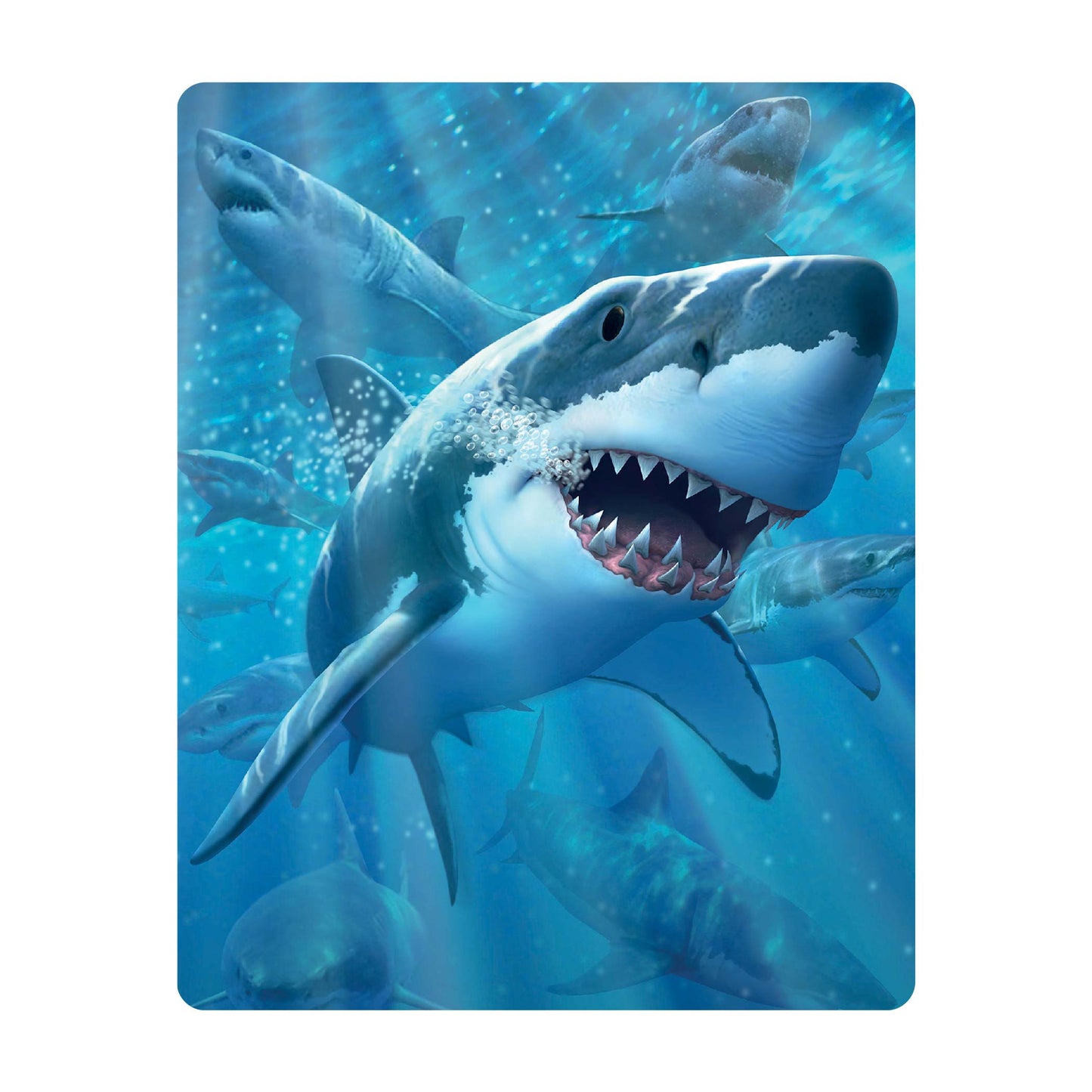 3D LiveLife Postcards - Great White Delight