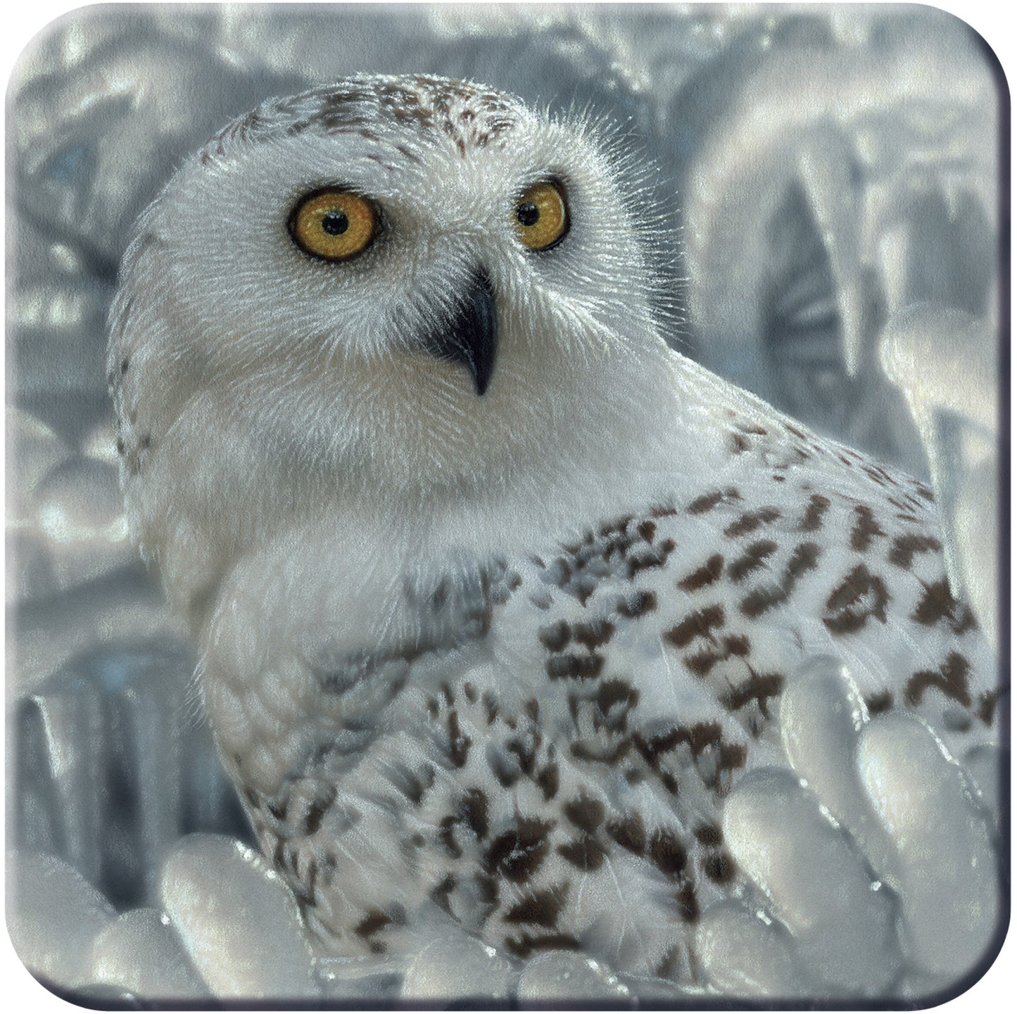 3D LiveLife Coasters - Snowy Owl Sanctuary