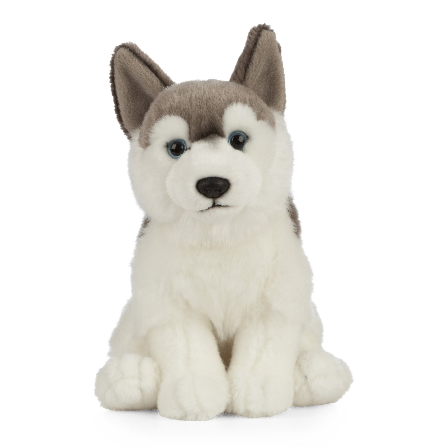 AN461 Husky 20cm
