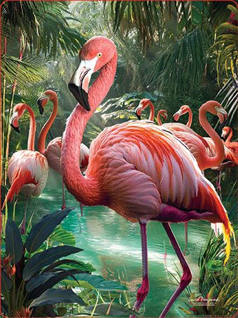 3D LiveLife Postcards - Pink Oasis