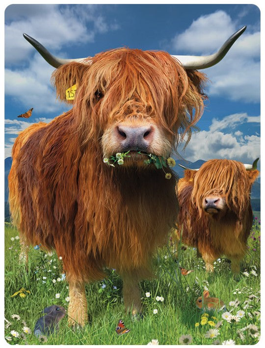 3D LiveLife Postcards - Highland Cattle