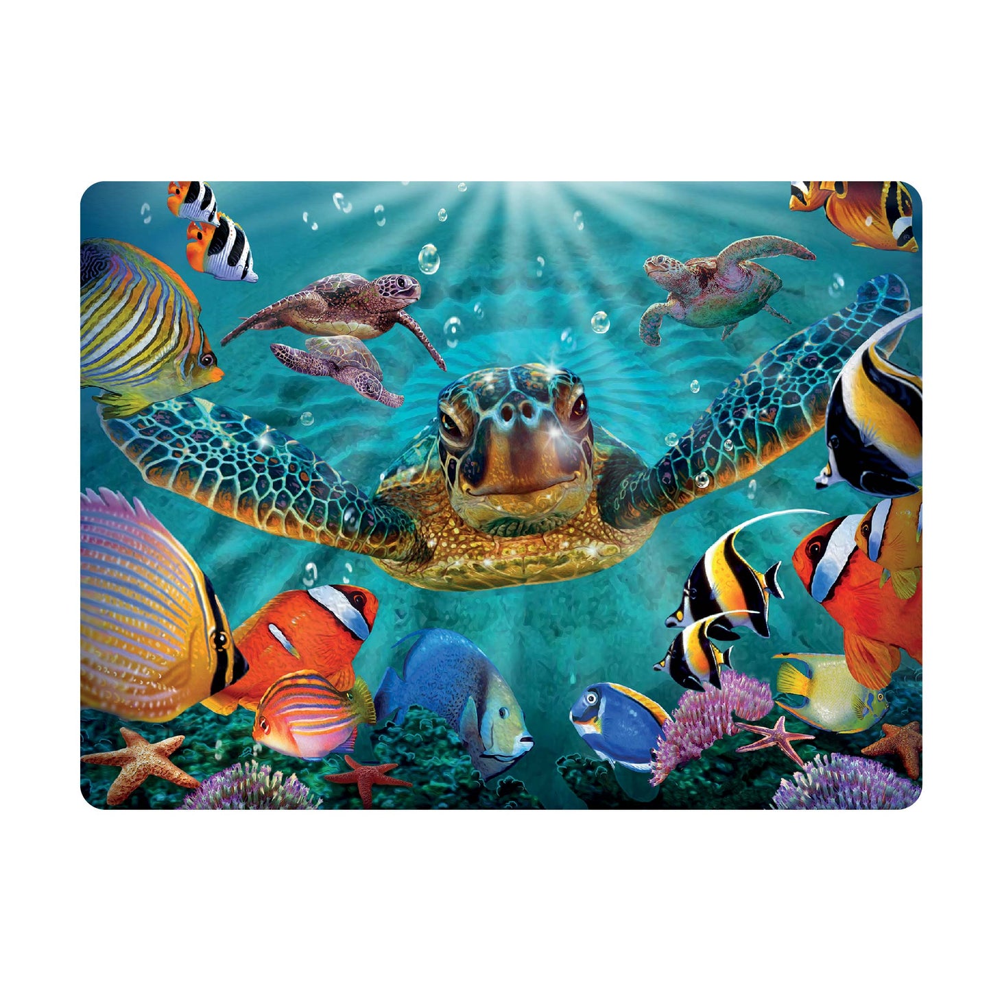 3D LiveLife Postcards - Tiny Bubbles