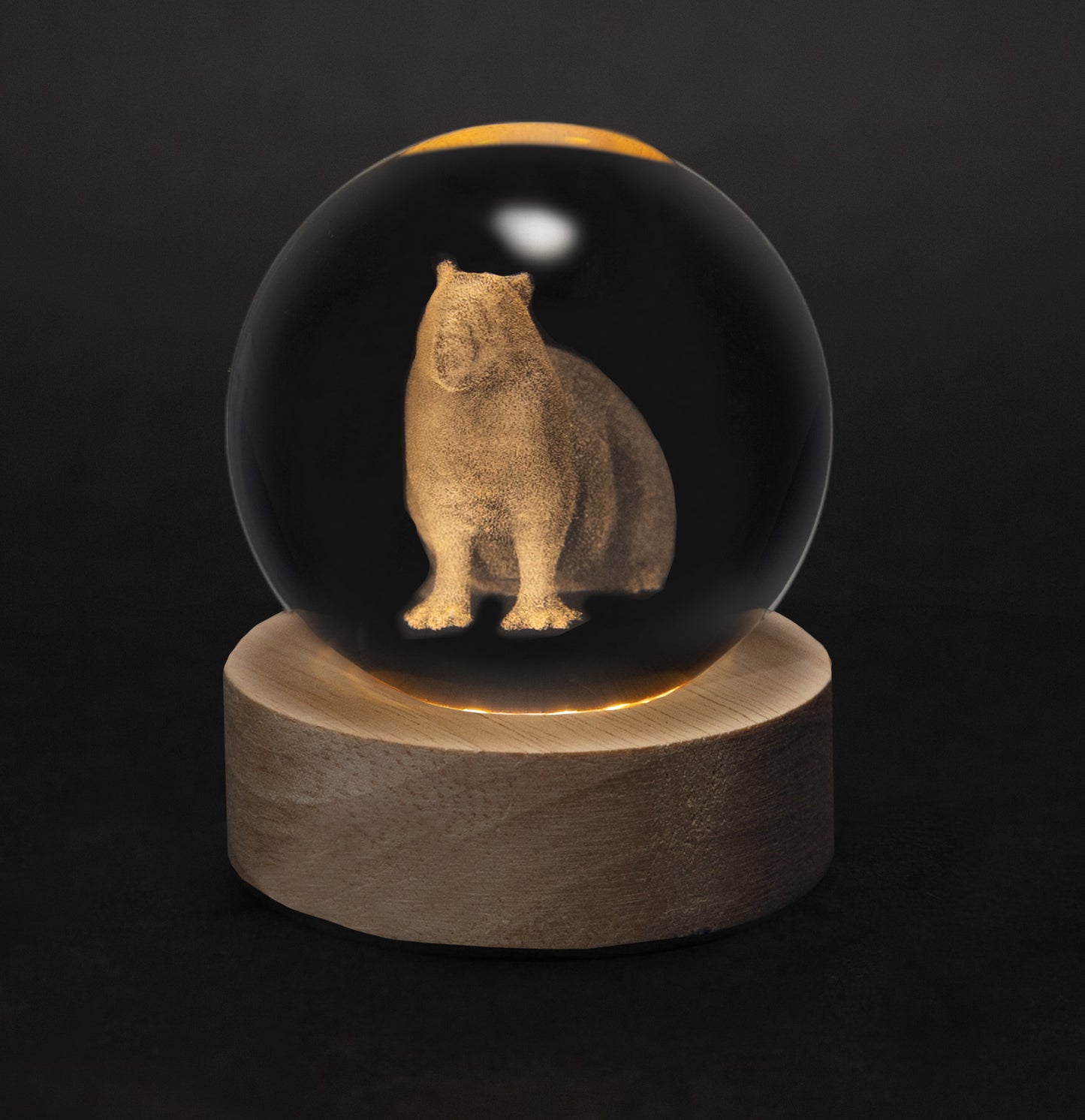 Crystal Silhouettes Globes - Capybara