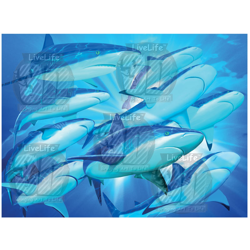 3D LiveLife Pictures - Shark Light