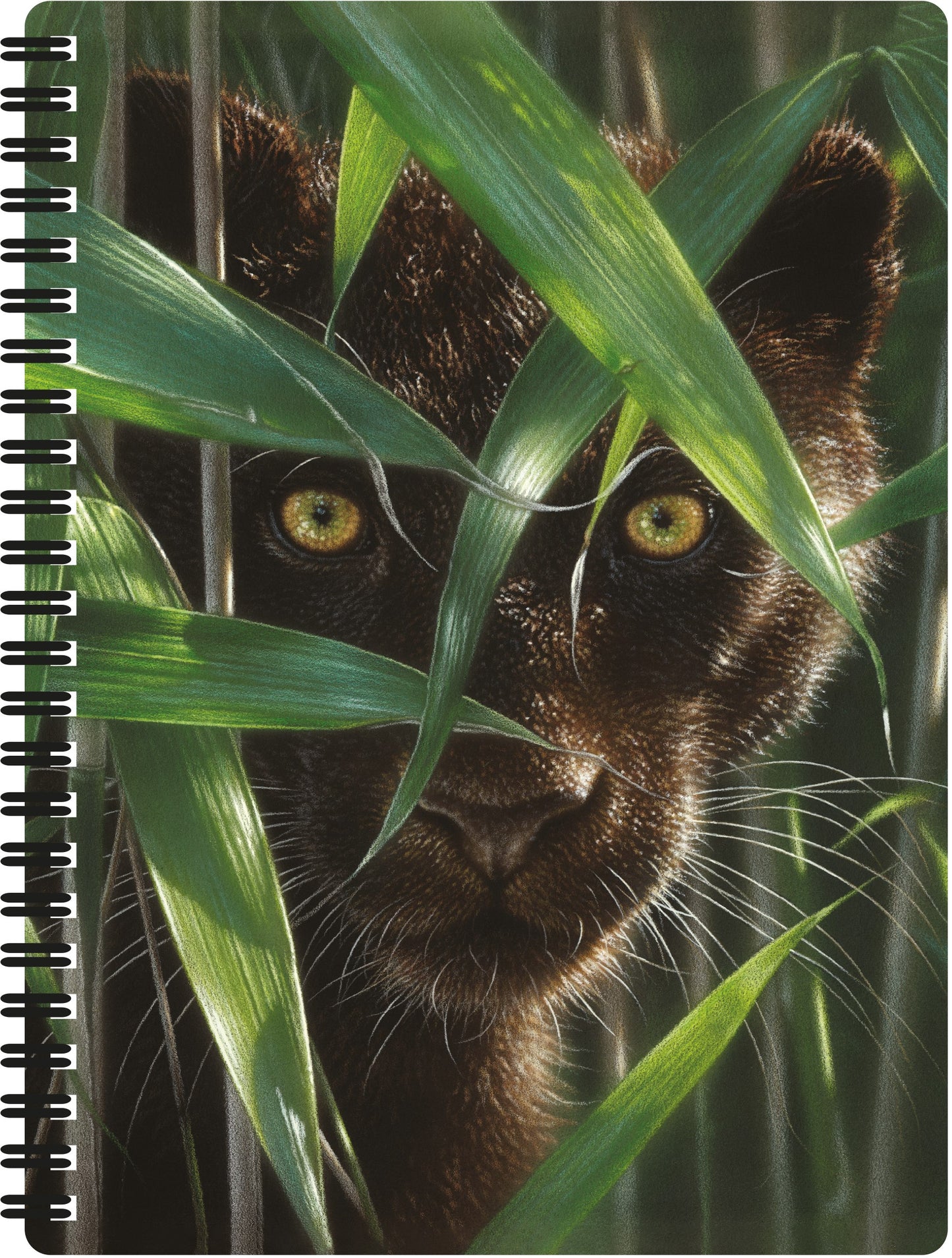 3D LiveLife Notebooks - Wild Eyes