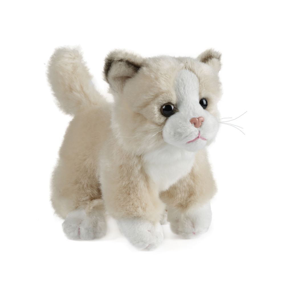 AN147 Cat Small 16cm