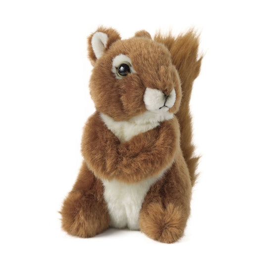 AN48 Squirrel Medium 14cm