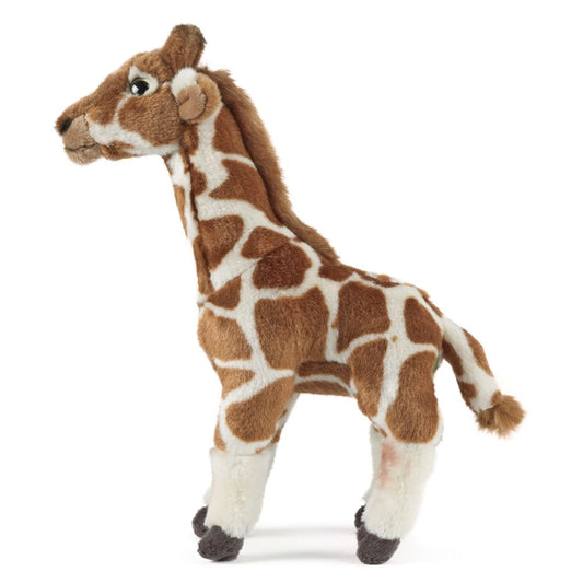 AN331 Giraffe Medium 32cm