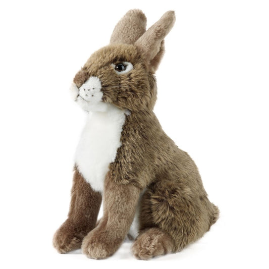 AN240 Hare 30cm