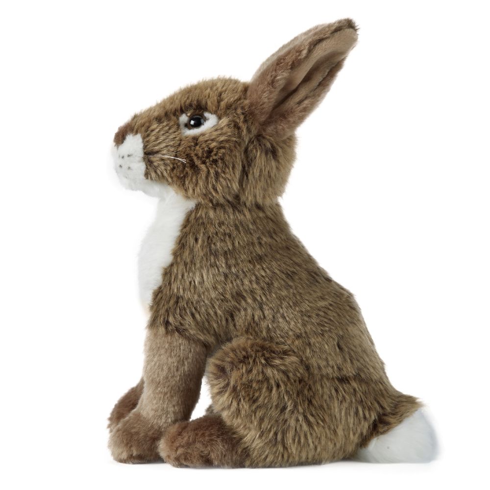 AN240 Hare 30cm