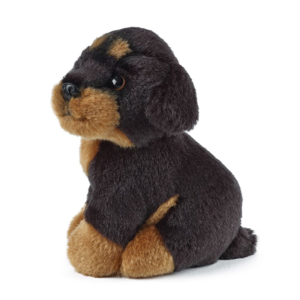 AN366 Miniature Dogs Assorted 14cm