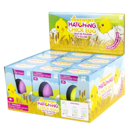 NV232 NURCHUMS Small Chick Hatching Eggs