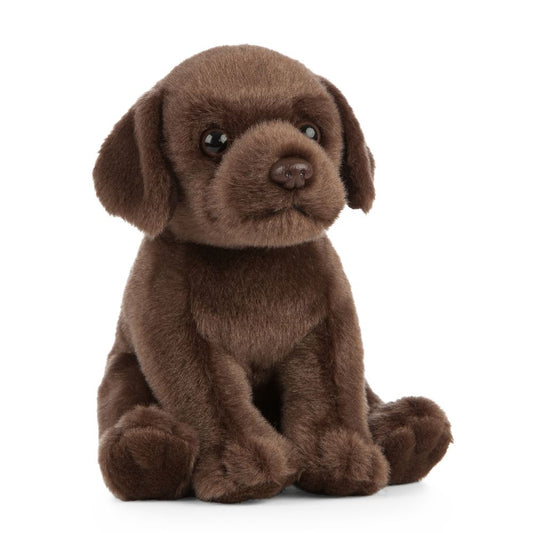 AN432 Chocolate Labrador Puppy 16cm