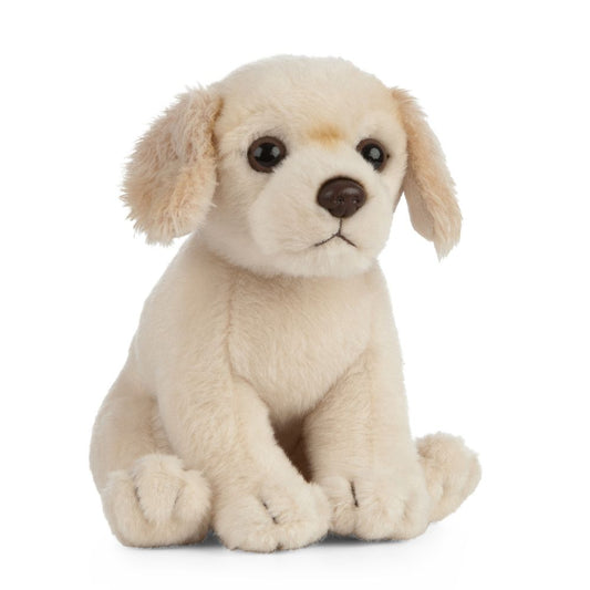 AN433 Golden Retriever Puppy 16cm