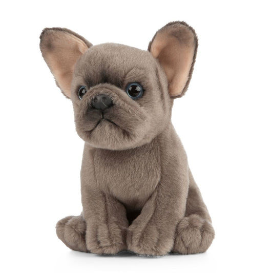 AN437 French Bulldog Puppy 16cm