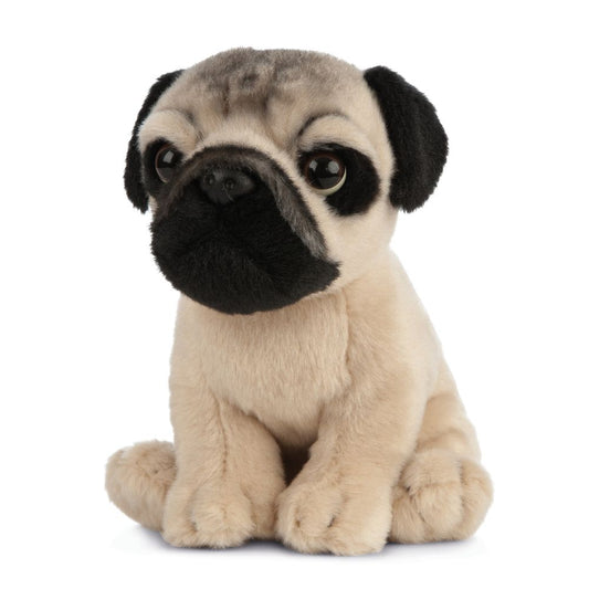 AN439 Pug Puppy 16cm