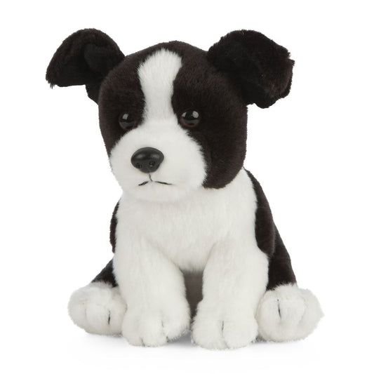 AN444 Border Collie Puppy 16cm