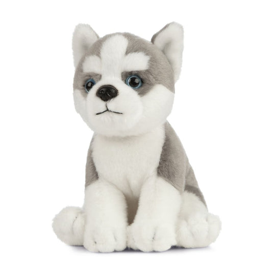 AN445 Husky Puppy 16cm