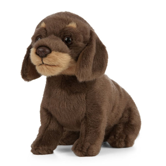 AN446 Dachshund Puppy 16cm