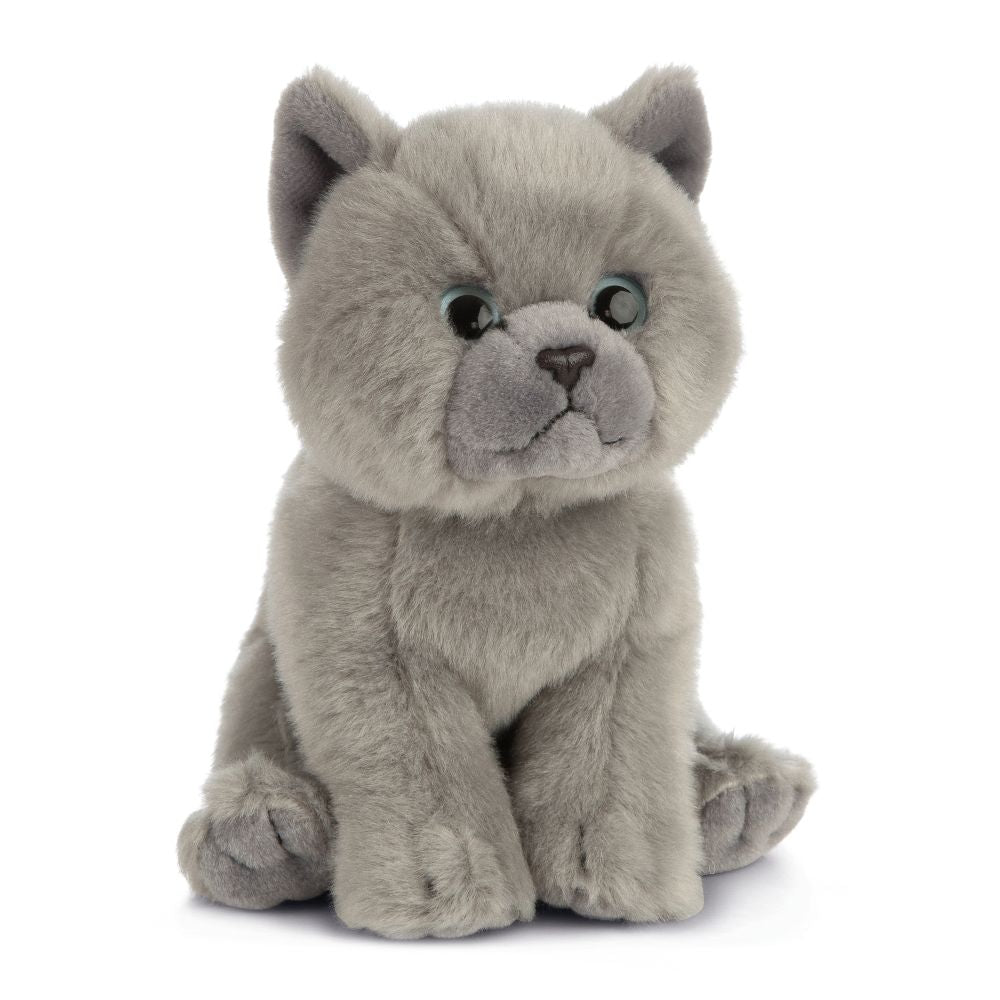 AN447 British Grey Shorthair Kitten 16cm