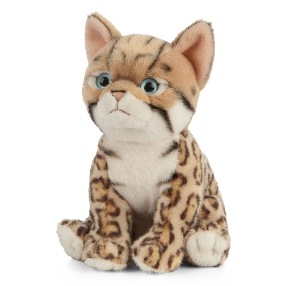 AN448 Bengal Kitten 16cm