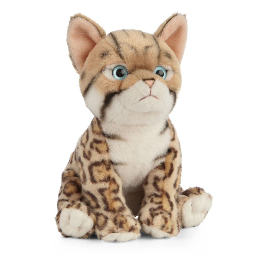 AN448 Bengal Kitten 16cm