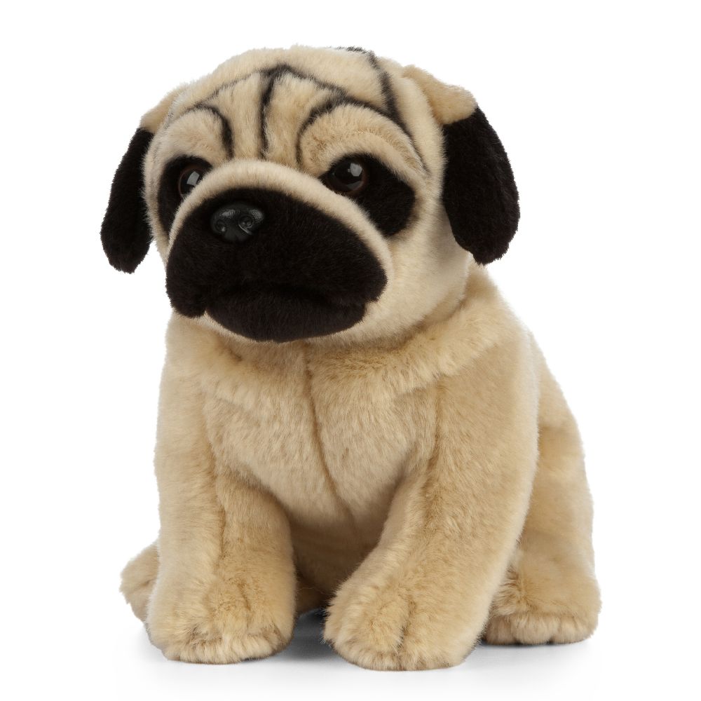 AN454 Pug 20cm