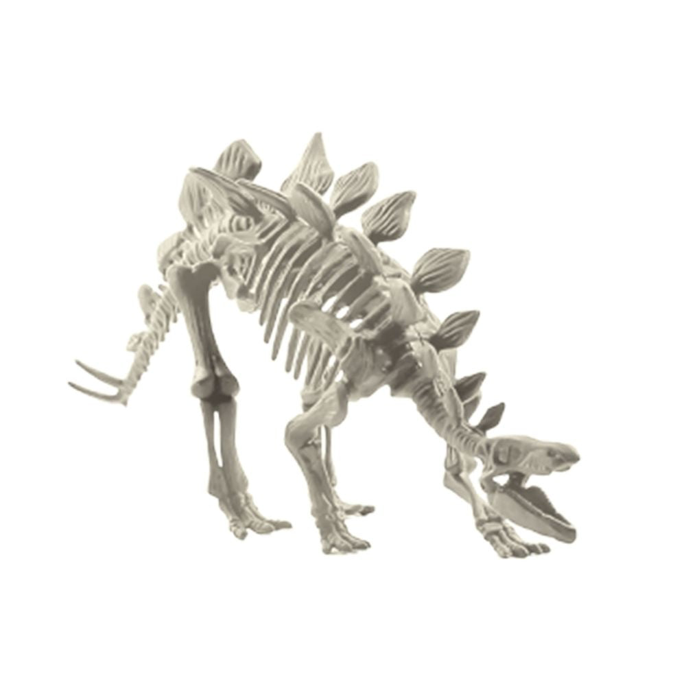 SC239 MAGNOIDZ D Dinosaur Skeletons