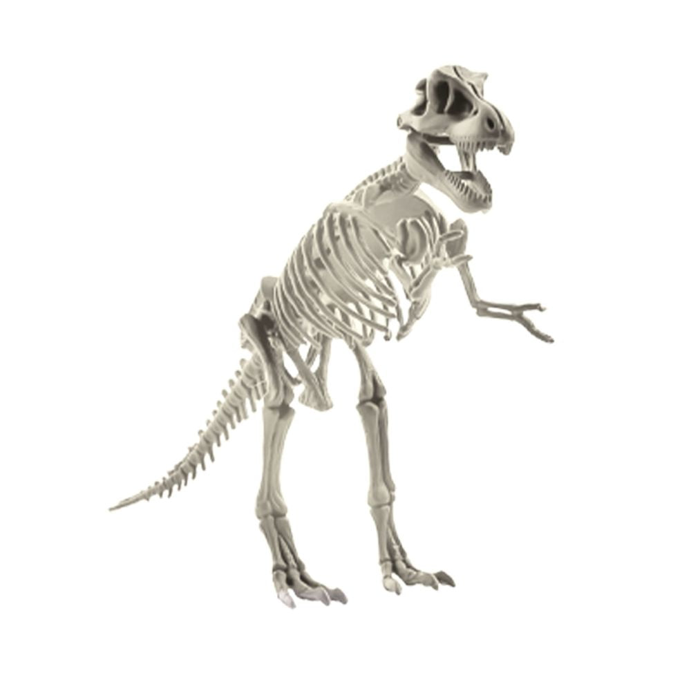 SC239 MAGNOIDZ D Dinosaur Skeletons