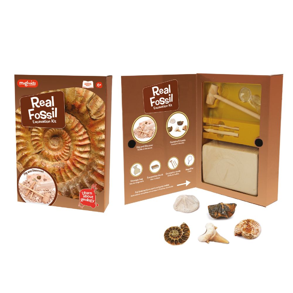 SC250 MAGNOIDZ Fossil Dig Kit