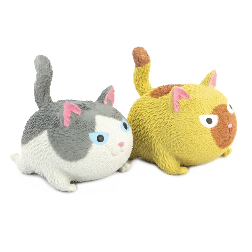 NV456 Squidgy Cat