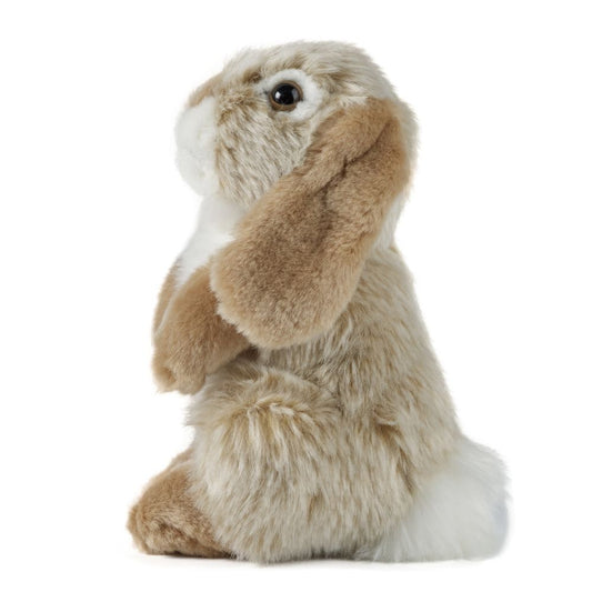 AN345B Brown Sitting Lop Eared Rabbit 19cm