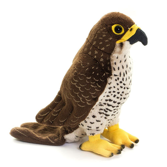 AN559 Peregrine Falcon 20cm