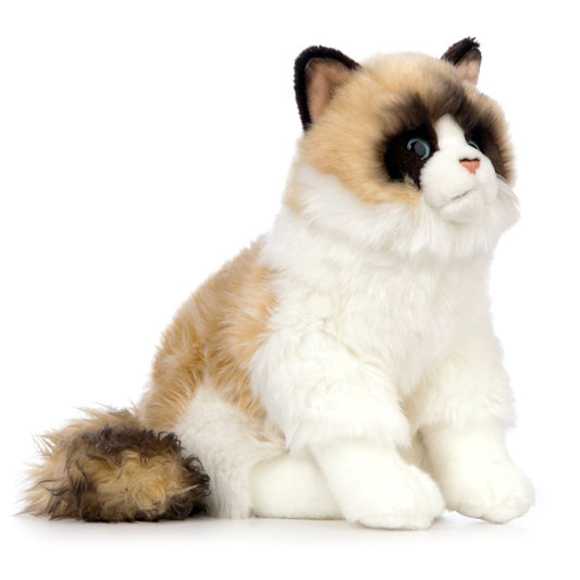 AN567 Ragdoll Cat 25cm