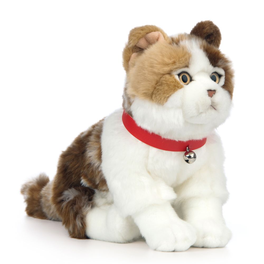 AN568 Scottish Fold Cat 25cm
