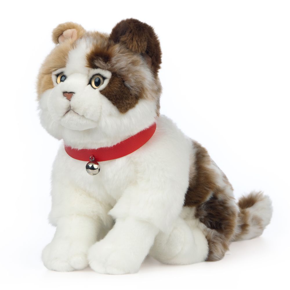 AN568 Scottish Fold Cat 25cm