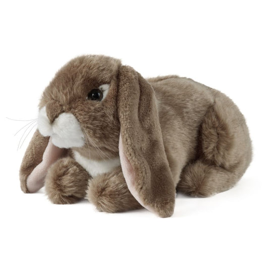 AN40B Brown Lop Eared Rabbit 24cm
