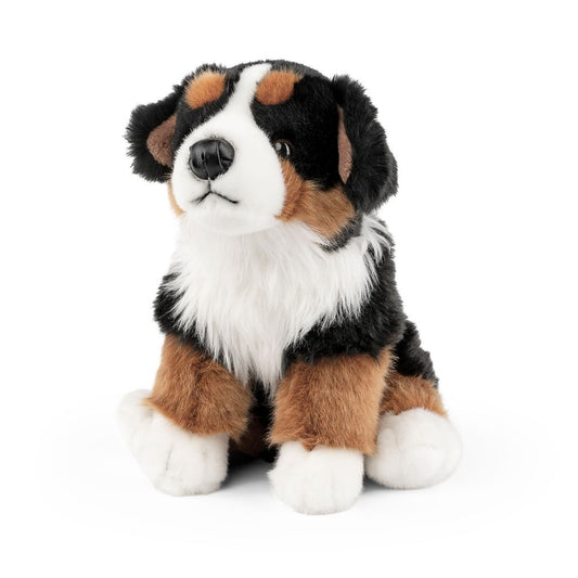 AN674 Bernese Mountain Dog 20cm